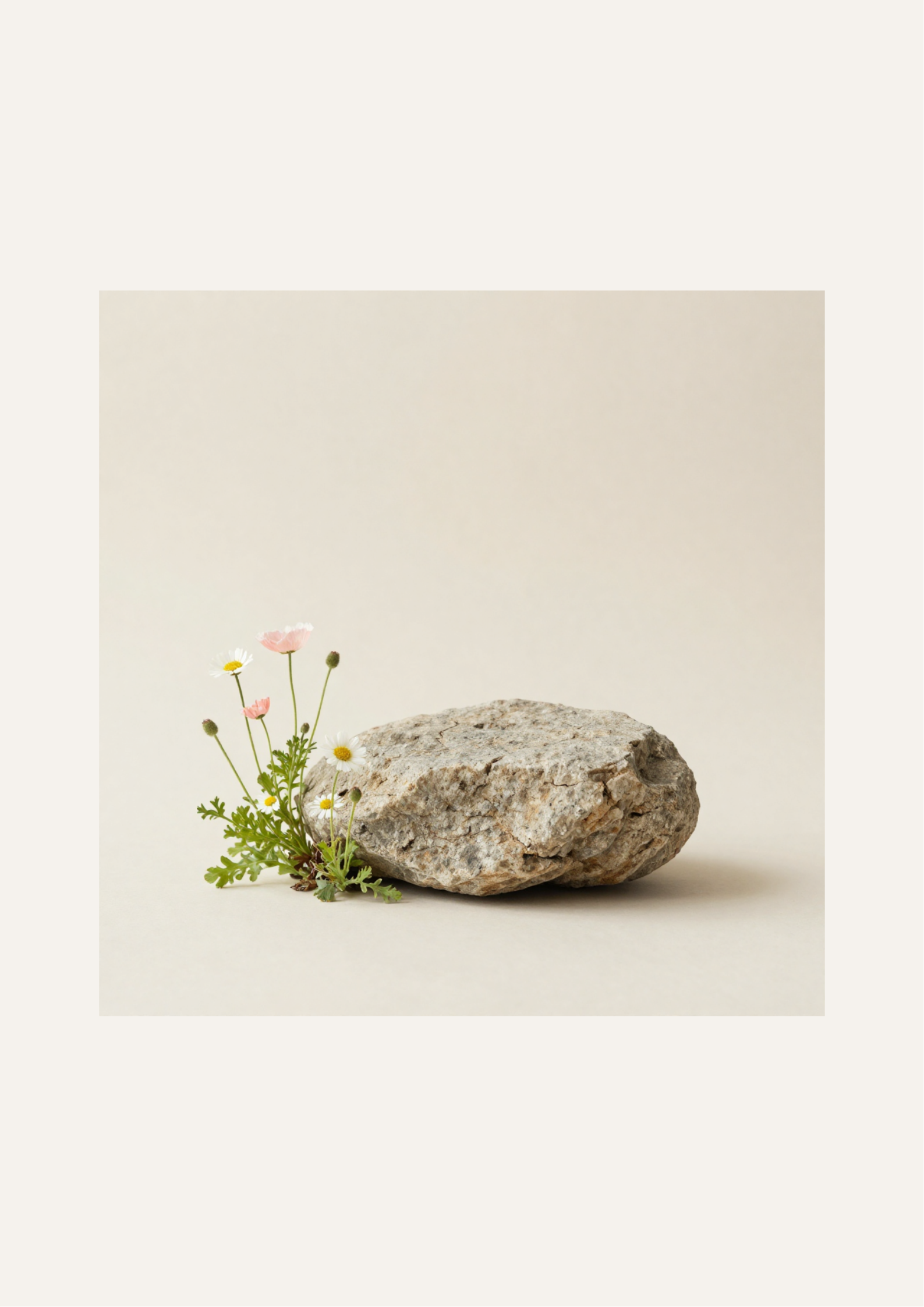 Rock and Flower