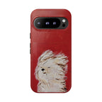 So Windyyy | Tough Case