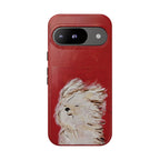So Windyyy | Tough Case